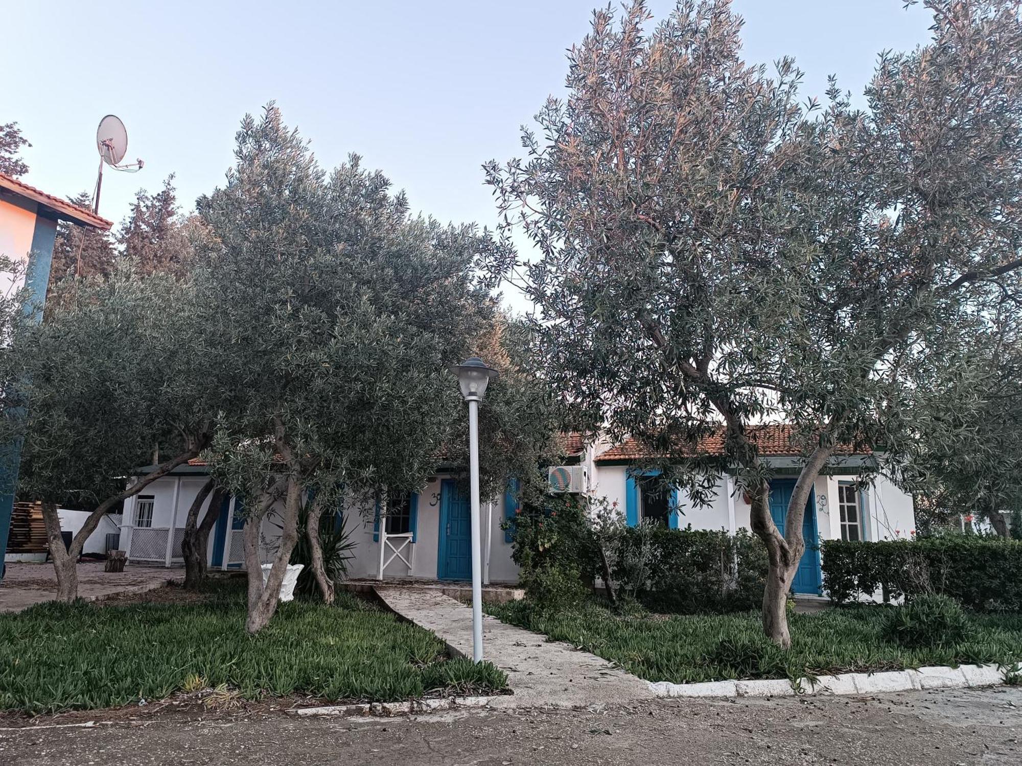 Teos Ormanci Tatil Koyu Hotel Seferihisar Ngoại thất bức ảnh