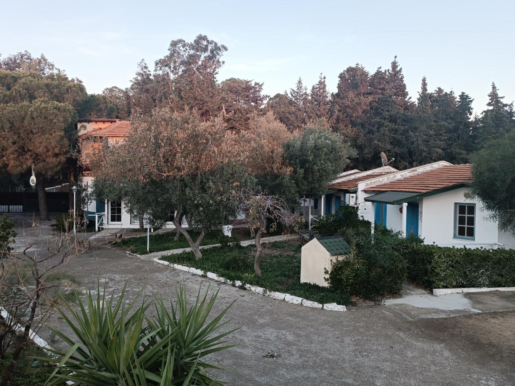 Teos Ormanci Tatil Koyu Hotel Seferihisar Ngoại thất bức ảnh